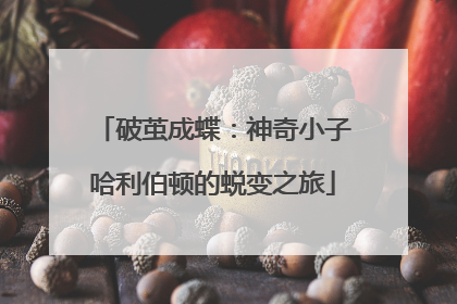 破茧成蝶：神奇小子哈利伯顿的蜕变之旅