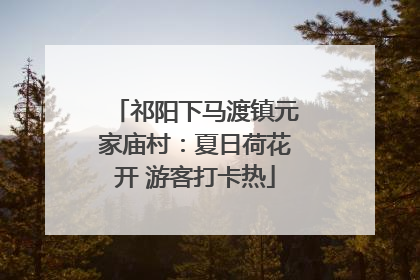 祁阳下马渡镇元家庙村：夏日荷花开 游客打卡热