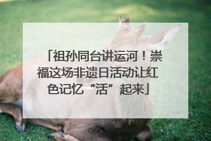 祖孙同台讲运河！崇福这场非遗日活动让红色记忆“活”起来