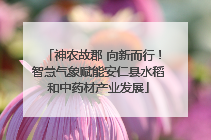 神农故郡 向新而行！智慧气象赋能安仁县水稻和中药材产业发展