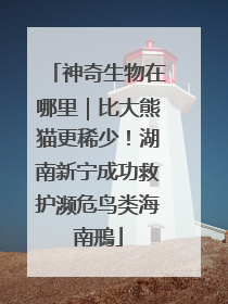 神奇生物在哪里｜比大熊猫更稀少！湖南新宁成功救护濒危鸟类海南鳽
