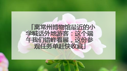 离常州博物馆最近的小学喊话外地游客：这个端午我们错峰看展，这份参观任务单赶快收藏