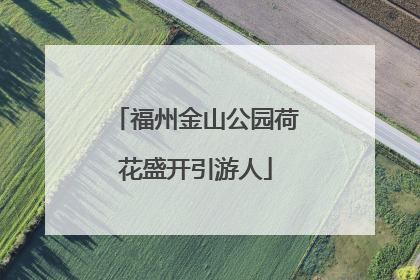 福州金山公园荷花盛开引游人