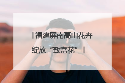 福建屏南高山花卉绽放“致富花”