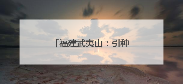 福建武夷山：引种七彩土豆喜获丰收