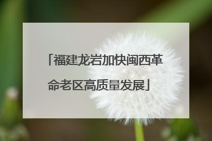 福建龙岩加快闽西革命老区高质量发展