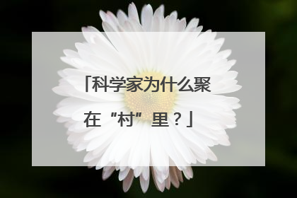 科学家为什么聚在“村”里？