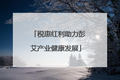 税惠红利助力彭艾产业健康发展