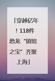 穿越亿年！118件恐龙“镇馆之宝”齐聚上海