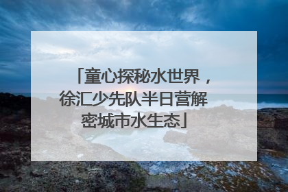 童心探秘水世界，徐汇少先队半日营解密城市水生态