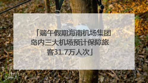 端午假期海南机场集团岛内三大机场预计保障旅客31.7万人次