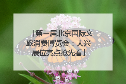 第三届北京国际文旅消费博览会：大兴展位亮点抢先看