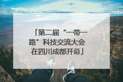 第二届“一带一路”科技交流大会在四川成都开幕