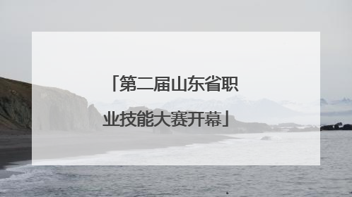 第二届山东省职业技能大赛开幕