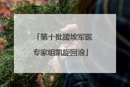 第十批援埃军医专家组凯旋回渝
