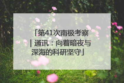 第41次南极考察｜通讯：向着暗夜与深海的科研坚守