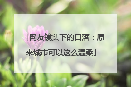 网友镜头下的日落：原来城市可以这么温柔