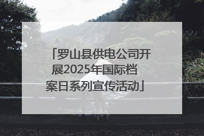 罗山县供电公司开展2025年国际档案日系列宣传活动