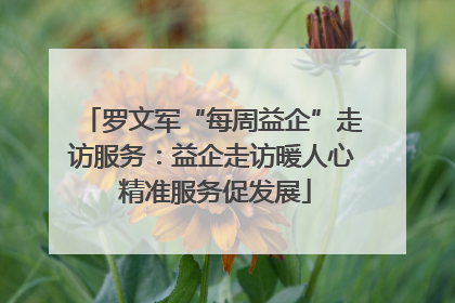 罗文军“每周益企”走访服务：益企走访暖人心 精准服务促发展