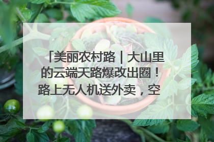 美丽农村路｜大山里的云端天路爆改出圈！路上无人机送外卖，空心村变网红村