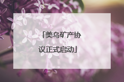 美乌矿产协议正式启动