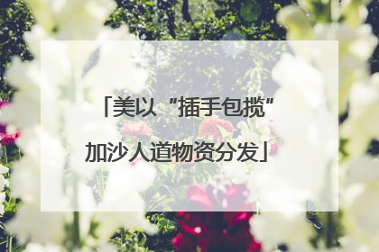 美以“插手包揽”加沙人道物资分发