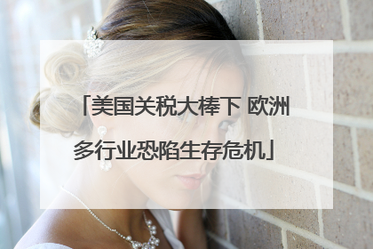 美国关税大棒下 欧洲多行业恐陷生存危机