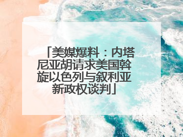 美媒爆料：内塔尼亚胡请求美国斡旋以色列与叙利亚新政权谈判