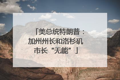 美总统特朗普：加州州长和洛杉矶市长“无能”