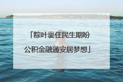 粽叶裹住民生期盼 公积金融通安居梦想