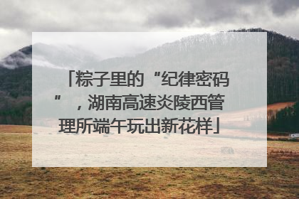 粽子里的“纪律密码”，湖南高速炎陵西管理所端午玩出新花样