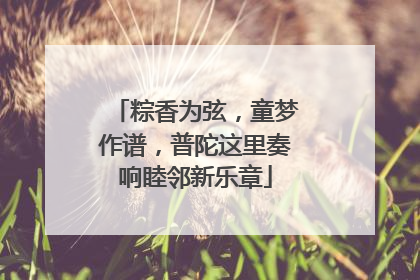 粽香为弦，童梦作谱，普陀这里奏响睦邻新乐章