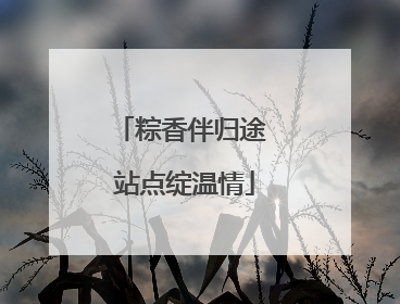 粽香伴归途 站点绽温情