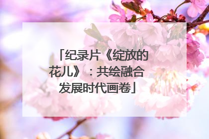 纪录片《绽放的花儿》：共绘融合发展时代画卷