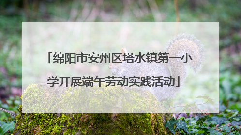 绵阳市安州区塔水镇第一小学开展端午劳动实践活动