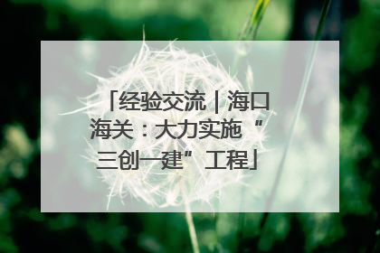 经验交流｜海口海关：大力实施“三创一建”工程