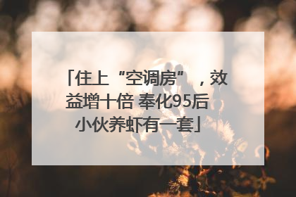 住上“空调房”，效益增十倍 奉化95后小伙养虾有一套