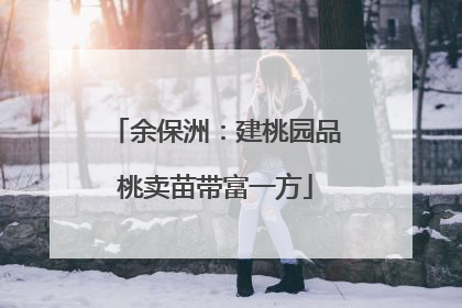 余保洲：建桃园品桃卖苗带富一方