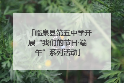 临泉县第五中学开展“我们的节日·端午”系列活动