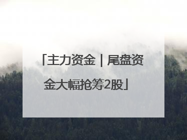 主力资金｜尾盘资金大幅抢筹2股