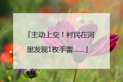 主动上交！村民在河里发现1枚手雷……