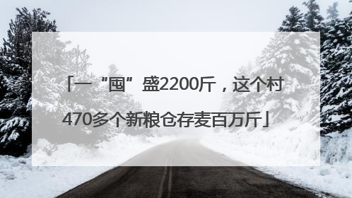 一“囤”盛2200斤，这个村470多个新粮仓存麦百万斤