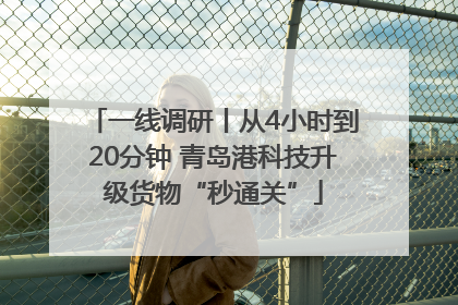 一线调研丨从4小时到20分钟 青岛港科技升级货物“秒通关”