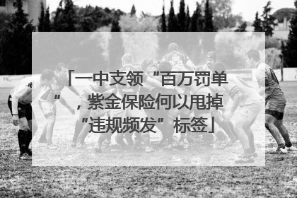 一中支领“百万罚单”，紫金保险何以甩掉“违规频发”标签