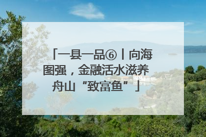 一县一品⑥丨向海图强，金融活水滋养舟山“致富鱼”