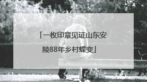 一枚印章见证山东安陵88年乡村蝶变