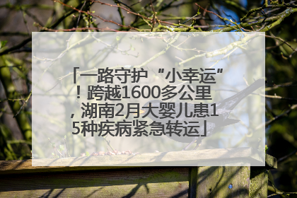 一路守护“小幸运”！跨越1600多公里，湖南2月大婴儿患15种疾病紧急转运