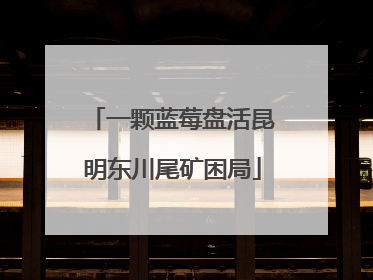 一颗蓝莓盘活昆明东川尾矿困局