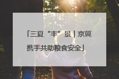 三夏“丰”景｜京冀携手共助粮食安全