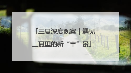 三夏深度观察｜遇见三夏里的新“丰”景